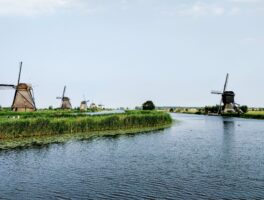 Nederlands als studie populair in het buitenland