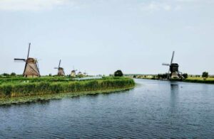 Dutch studies abroad are popular