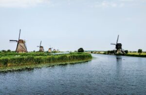 Study Dutch is more popular than we think